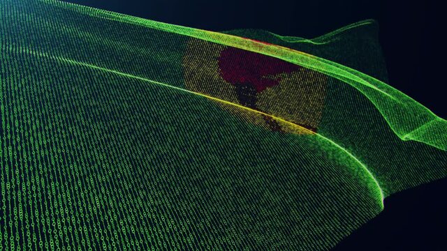 3d render. Zaire digital flag with binary code texture flies in the wind. Seamless loop.