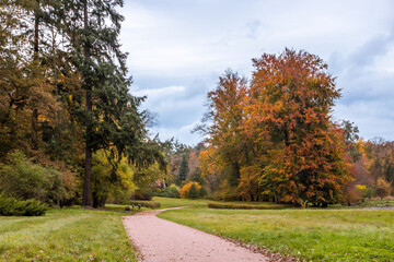 Fototapeta premium Autumn trees alley with colorful leaves in the park