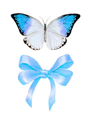 Set of watercolor elements. Butterfly and orange bow. Element for design of invitations, logo, banners, cards