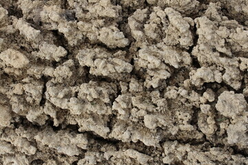 Earth after rain. relief of drying up the earth after rain close-up.