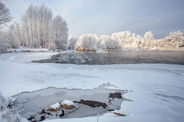 Frosty winter day on the river. Ice floes float in an open area of water. The trees on the shore are covered with frost.