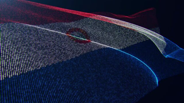 3d render. Paraguay digital flag with binary code texture flies in the wind. Seamless loop.