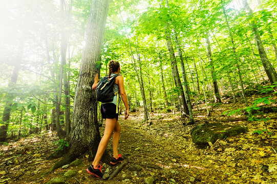 Female hiker in forest - Powered by Adobe