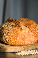 The handcrafted tartin bread lies on a wooden surface next to wheat ears. Farming and home baking concept