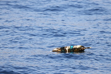 Fototapeta premium lobster buoy