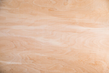 Close-up texture of natural birch veneer.