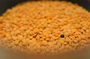 one black lentil in between many orange colored lentils in a bowl