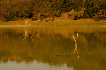 Lago di San Giuliano - Riflessi- Autunno- Basilicata -Italia
