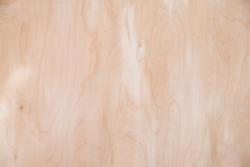 Close-up texture of natural birch veneer.