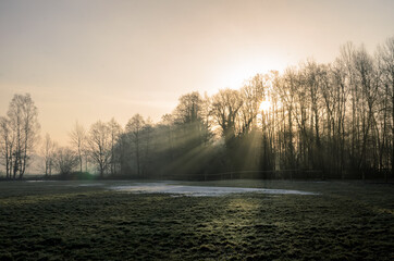 Sun rays falling on last snow on a meadow