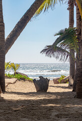 access to the beach between palm trees, marine horizon