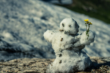 Small snowman with flower in left hand builded in summer in rocky moutains national park in america