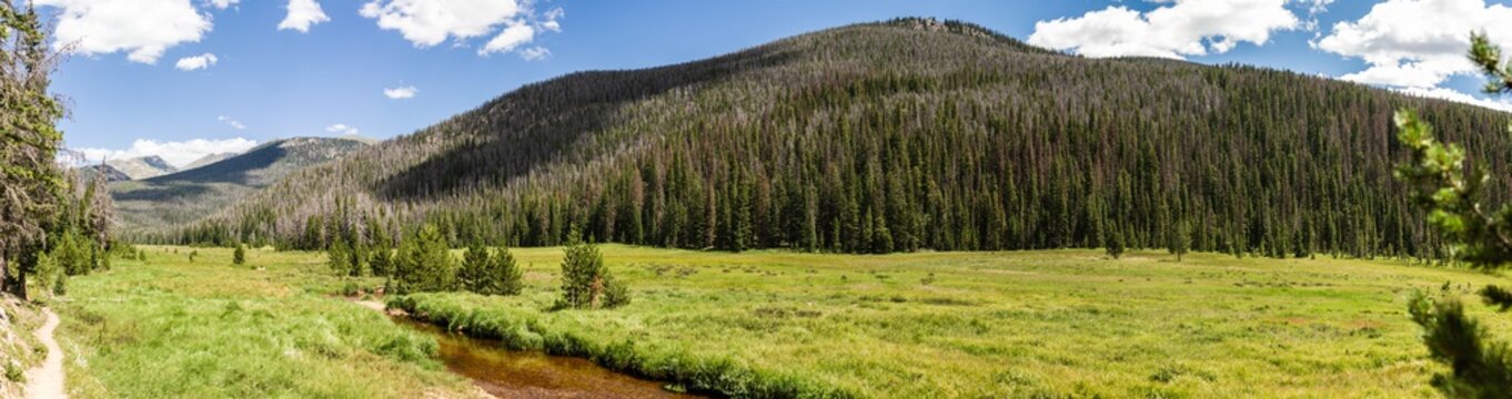 Panorama Shot Of Half Dead Forest And Meadow With Stream In Rocky Mountains National Park In Usa