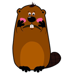 Embarrassed or confused cartoon beaver on white background, emotions