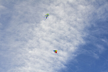 Kites in the Sky