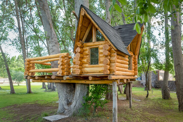 big tree house in autumn