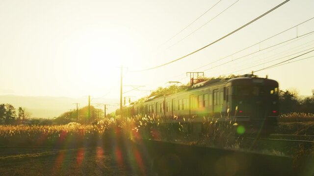夕陽に向かって走る電車