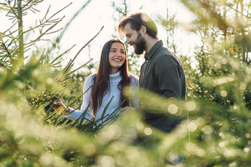 Young happy family choosing christmas tree at plantation preparing holidays.