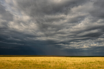 Dramatic Clouds Over Yelow Field