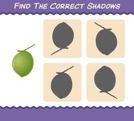 Find the correct shadows of cartoon coconuts. Searching and Matching game. Educational game for pre shool years kids and toddlers