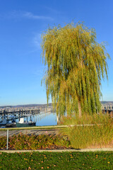 Bodenseeufer Insel Reichenau