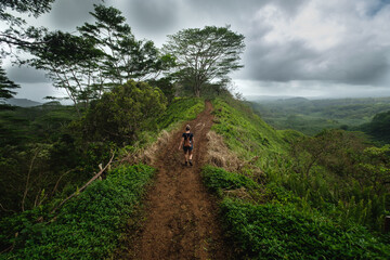 Fototapeta premium a person walking on a dirt path