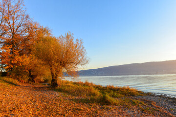 Sonnenuntergang am Bodensee (Insel Reichenau) 