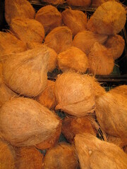 Cocos secos