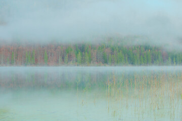 fog on the lake, vorderer langbathsee in upper austria

