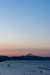 夕暮れの横須賀の町越しの富士山