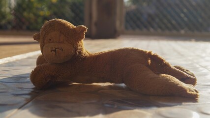 discarded child toy  monkey lying on the floor