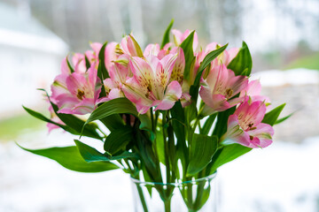 Bouquet of pink white daylilies on the window