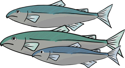 可愛い手書きの鮭のイラスト