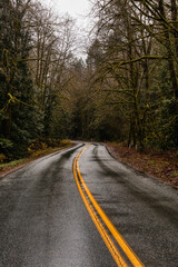 Beautiful View of a Scenic Road in the Green Forest during a rainy fall season day. Taken in Squamish, North of Vancouver, British Columbia, Canada.