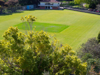 Green Sports Field