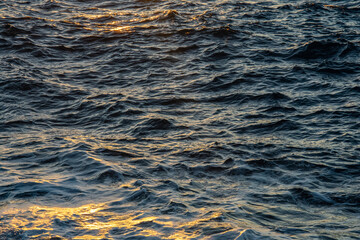mare primo piano luce tramonto