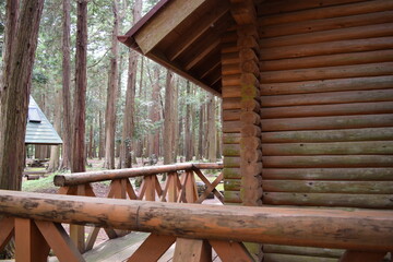 ログハウス 森林内