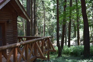 Naklejka premium ログハウス 森林内