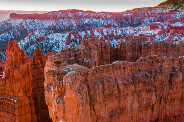 Glowing Hoodoos of Silent City From Sunset Point, Bryce Canyon National Park,Utah,USA