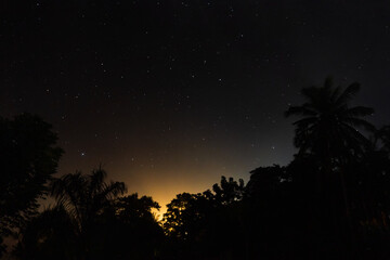 Fototapeta na wymiar Night shot with palm trees and stars in the sky
