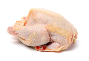 raw hen on a white background