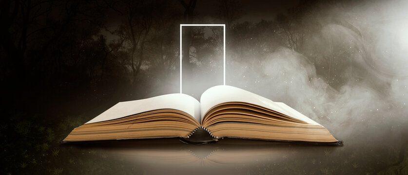 An old book opened in the night forest 