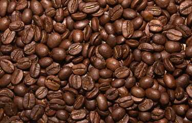 Coffee beans texture background,