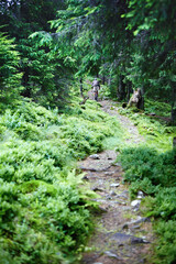 Young caucasian cyclist on a mountain bike rides along mountain trails in a mountain forest.