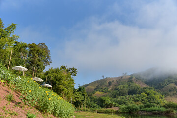The view of the natural stream on the mountain is covered with mist. There are tourist tents by the stream as well.