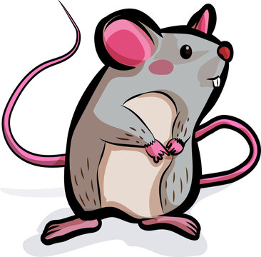 rat cute cartoon vector