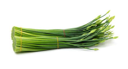 a bunch of flowering chinese garlic chives on the white background