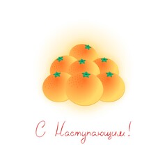 Season Greetings. Russian language. Winter holiday greeting card. Hand written phrase and an illustration of tangerines on a white background. Vector 10 EPS.