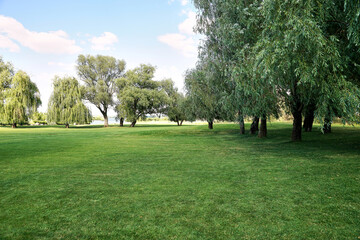 
grass, park, tree, green, landscape, trees, nature, golf, summer, sky, field, lawn, garden, meadow, forest, spring, golf course, blue, course, outdoors, walkway, sun, environment , day, Earth