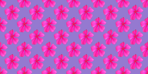 beautiful background with flowers seamless pattern with pink flower